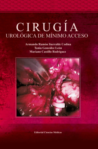 Cirugía urológica de mínimo acceso