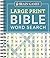 Brain Games - Large Print Bible Word Search (Blue) (Brain Games - Bible)
