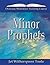 Minor Prophets by Jet Witherspoon Toole