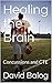 Healing the Brain: Concussi...