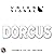 Dorcus