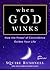 When God Winks: How the Power of Coincidence Guides Your Life (The Godwink Series)
