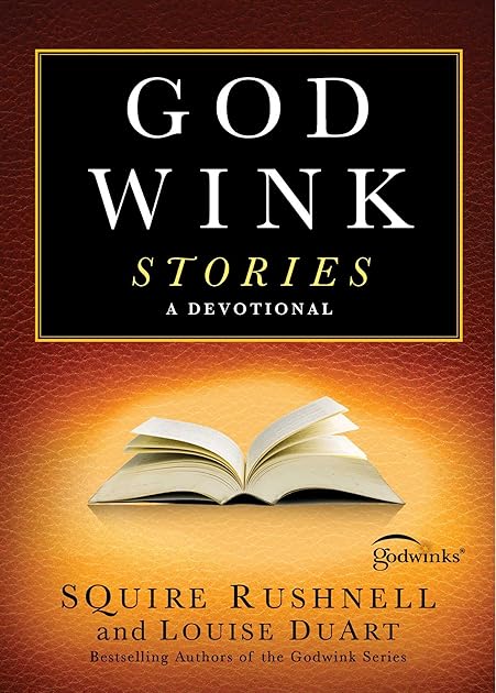Godwink Stories: A Devotional (The Godwink Series)