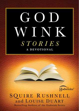 Godwink Stories: A Devotional (The Godwink Series)