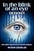 In the Blink of an Eye - Reborn by Peter Coghlan