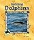 Common Dolphins