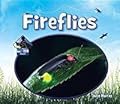 Fireflies