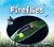 Fireflies