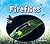 Fireflies