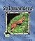 Salamanders