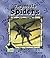 Tarantula Spiders