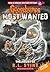 The Haunter (Goosebumps Most Wanted Special Edition, #4)