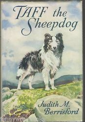 Taff the Sheepdog (Paperback)