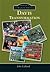 Davis: Transformation (Images of Modern America)