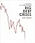 A Template for Understanding Big Debt Crises