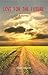 Love for the Future: A Journey
