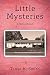 Little Mysteries: Tales of Mystery and the Hidden Lives of Children as Told by an Eight Year Old Girl