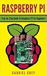RASPBERRY PI: Ste...