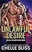 Unlawful Desire (ALFA Investigations, #2)
