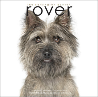 Rover Barkington Edition