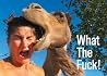 What the Fuck! What the Fuck!