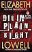 Die in Plain Sight (Rarities Unlimited, #3)