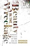 Book cover for Beauty in the Wreckage: Finding Peace in the Age of Outrage