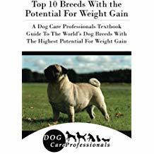 Top 10 Breeds With the Potential For Weight Gain: A Dog Care Professionals Textbook Guide To The World’s Dog Breeds With The Highest Potential For ... to Caring for a Dog from a Puppy to Old Age)