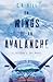 On Wings of an Avalanche by C D Gill