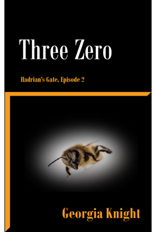 Three Zero (Hadrian's Gate, Book 2)