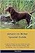 American Water Spaniel Guid...