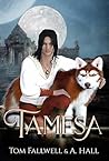 Tamesa: A Divided World: Epic Fantasy