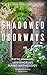 Shadowed Doorways by Elisabeth Ashlin