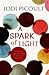 A Spark of Light by Jodi Picoult