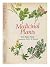 Medicinal Plants by Hans Fluck