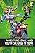 Adventure Comics and Youth Cultures in India by Raminder Kaur