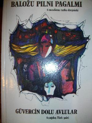 Baložu pilni pagalmi (Hardcover)
