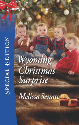 Wyoming Christmas Surprise (The Wyoming Multiples, #3)