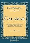 Calamar: Casi Película Policíaca en Tres Jornadas, Divididas en Varias Partes, Con Algunos Letreros y Primeros Planos (Classic Reprint) (Spanish Edition)