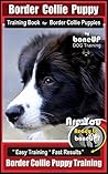 Border Collie Pup...