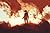 The King of Fire (Aurelia Ryder #0.5) by Ilona Andrews