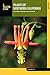 Plants of Northern California: A Field Guide to Plants West of the Sierra Nevada (FalconGuides)