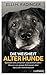Die Weisheit alter Hunde: Gelassen sein, erkennen, was wirklich zählt – Was wir von grauen Schnauzen über das Leben lernen können
