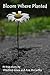 Bloom Where Planted