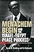 Menachem Begin and the Israel-Egypt Peace Process by Gerald M. Steinberg
