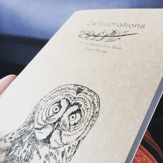 Owllustrations: An Owl Appreciation Book (Birds Appreciation Zines, #1)