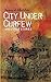 City Under Curfew  by Fazayal Shabbir