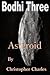Bodhi Three: Asteroid