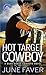 Hot Target Cowboy (Dark Horse Cowboys, #2)