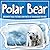 Polar Bear: Discover These ...